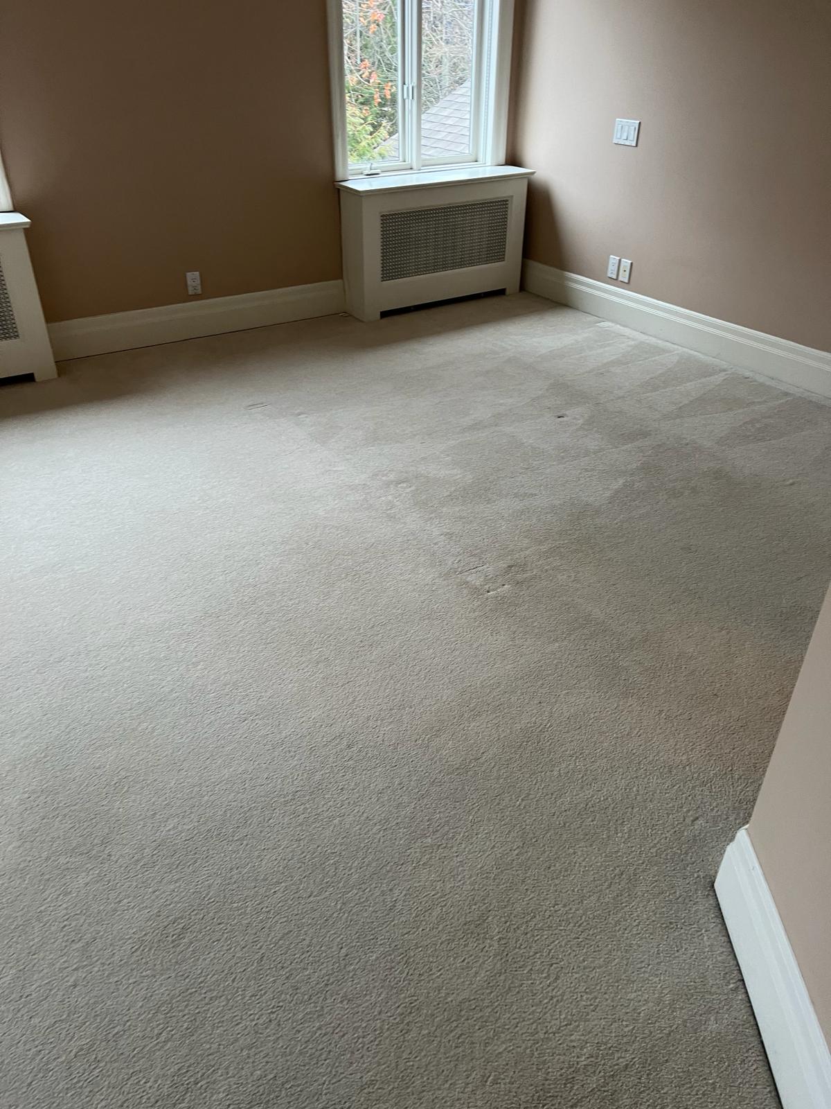 DIY Carpet Cleaning Solutions That Actually Work - Toronto Steam N' Clean