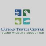 Cayman Turtle Centre Profile Picture
