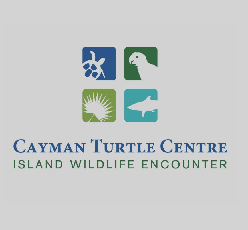 Cayman Turtle Centre Profile Picture