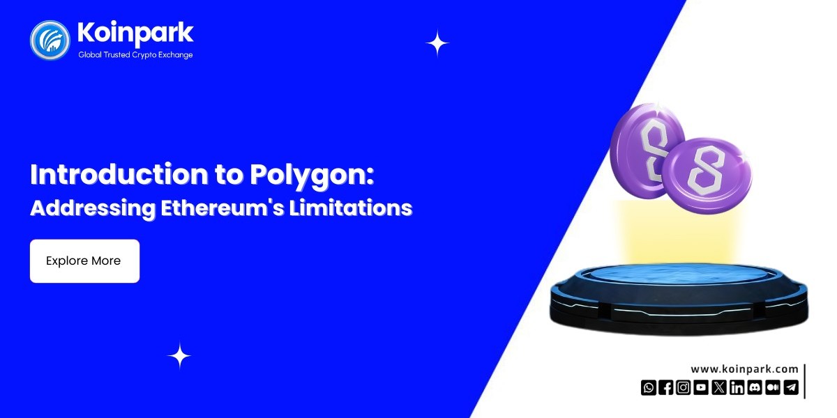 Introduction to Polygon: Addressing Ethereum's Limitations