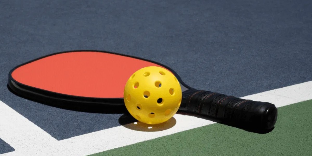 Which Pickleball Paddle is Best for Beginners?