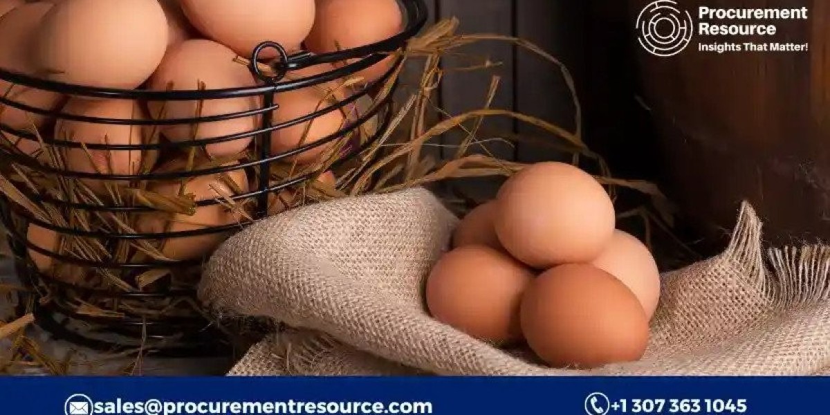 Navigating Egg Prices: Understanding Index, Historical Data, Trends, and Forecast