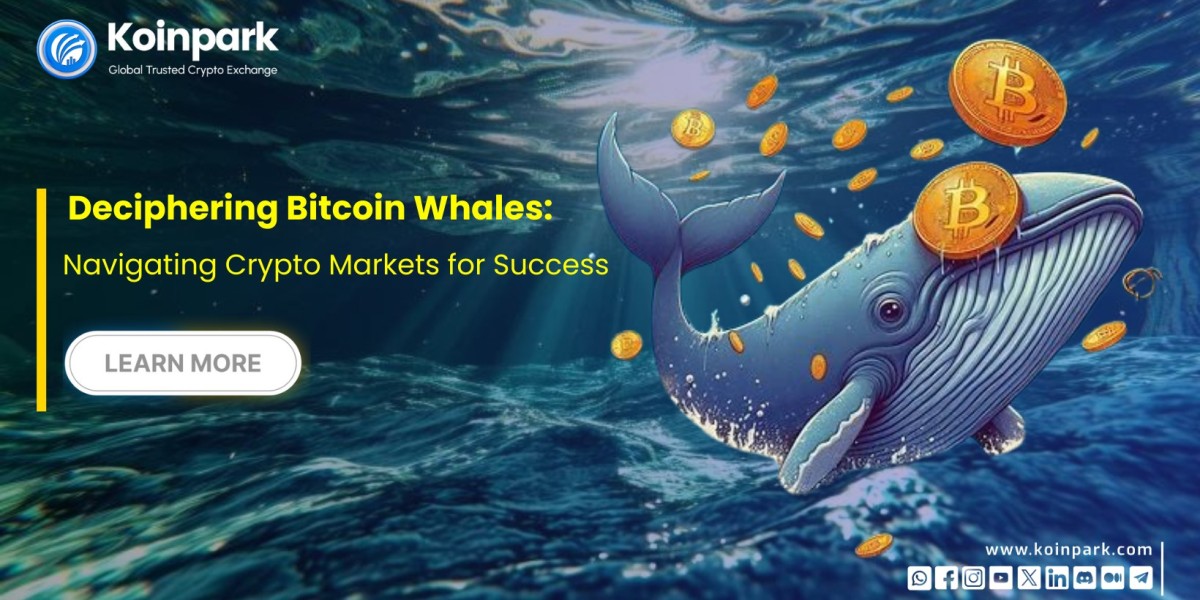 Deciphering Bitcoin Whales: Navigating Crypto Markets for Success