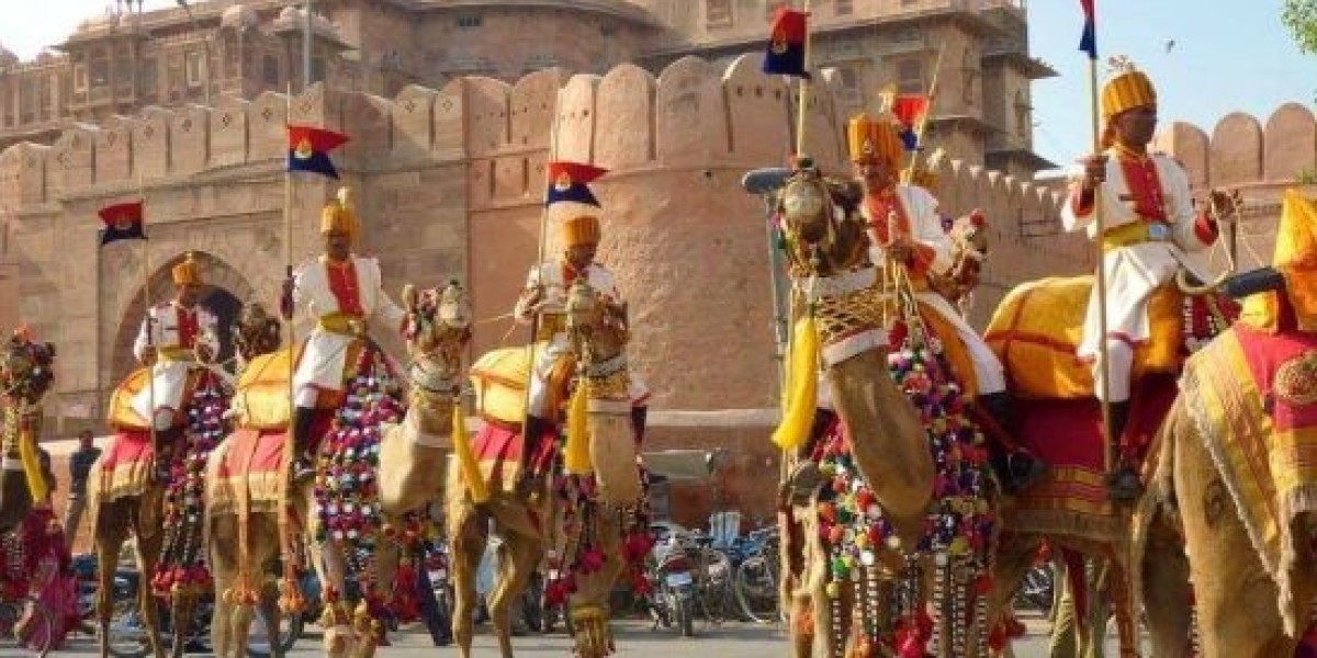 Discover Rajasthan: Unveiling the Essence with Unlimited India Travel Packages