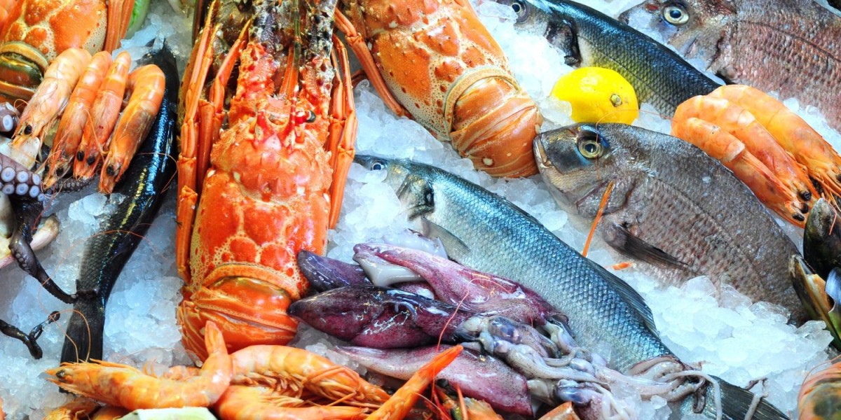 Savoring the Catch: Exploring the World of Fresh Fish