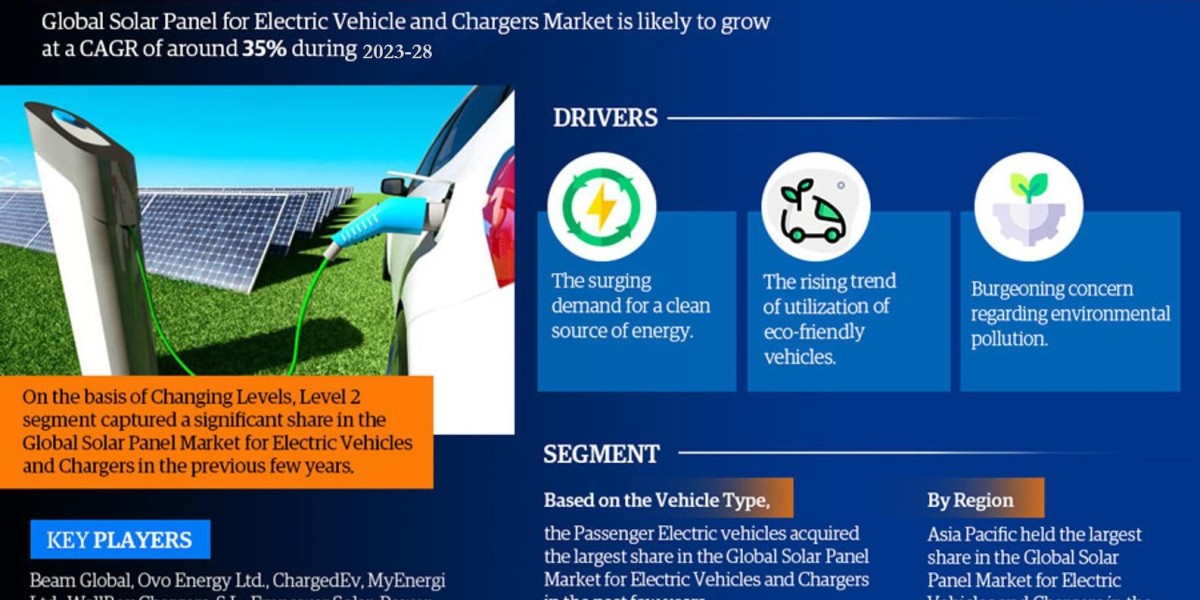 Mapping the Global Solar Panel for Electric Vehicle and Chargers Market Landscape: Key Players, Challenges, and Future P