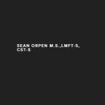 Sean Orpen MS LMFT Inc Profile Picture
