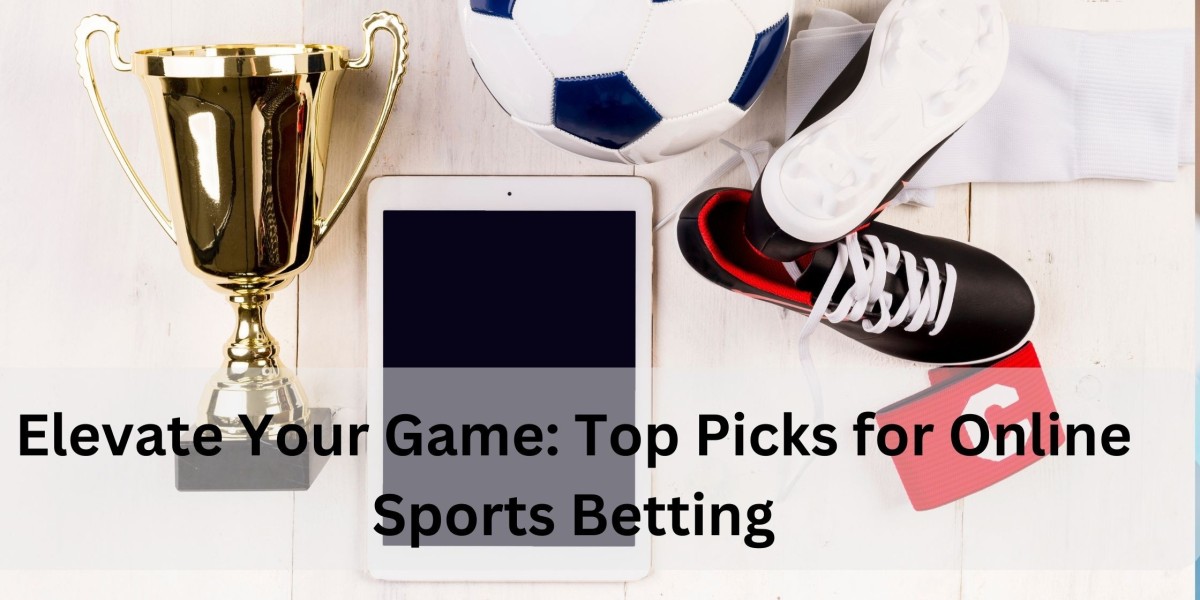 Elevate Your Game: Top Picks for Online Sports Betting