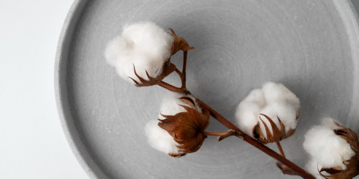 What Trends Are Evident in Today's Live CBOT Cotton Prices?