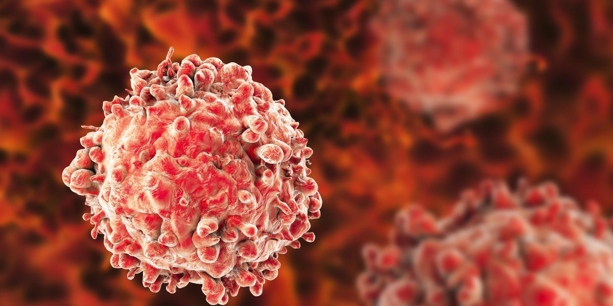 Exploring Novel Strategies for Selectively Eliminating Cancer Cells