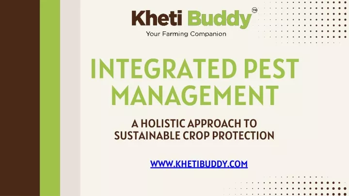 PPT - Integrated Pest Management A Holistic Approach to Sustainable Crop Protection PowerPoint Presentation - ID:13117202
