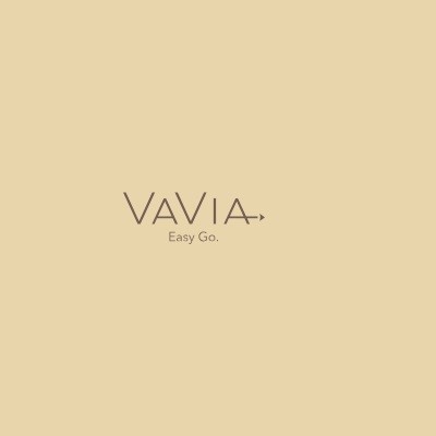 VaVia Dumpster Rental Austin TX Profile Picture