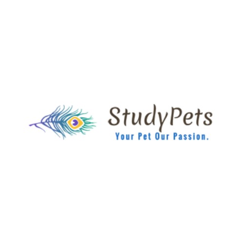 StudyPets Profile Picture