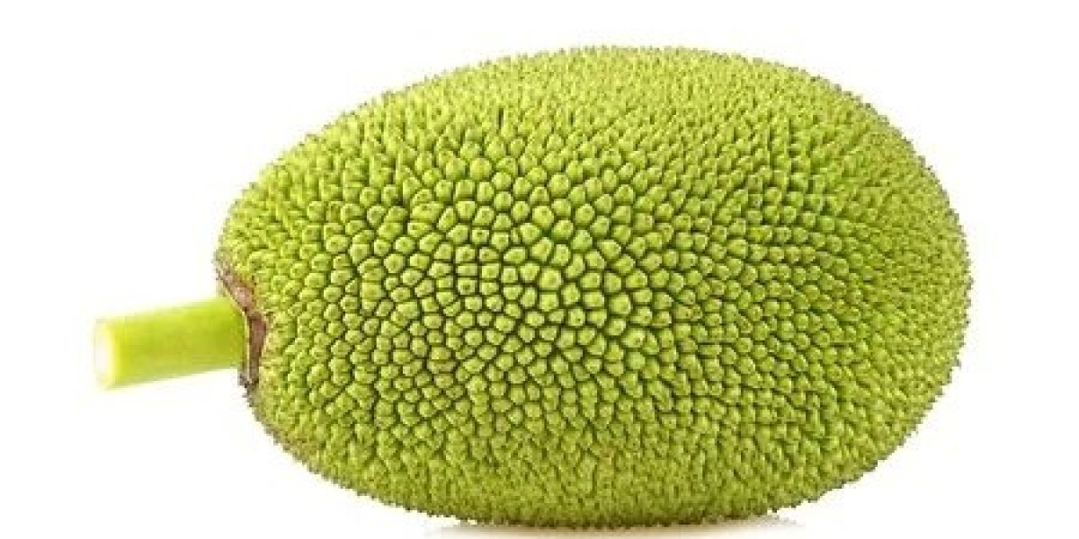 Jackfruit Processing Plant Project Report 2024: Plant Setup, Manufacturing Process, Material and Cost Involved