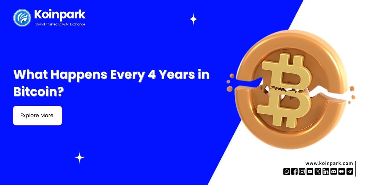 What Happens Every 4 Years in Bitcoin?