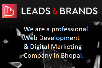 Top SEO Company in Bhopal – Leads and Brands
