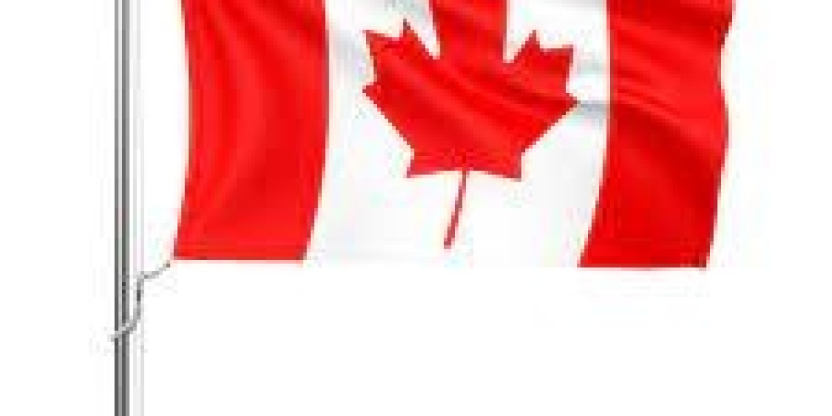 Canada Work Permit Lmia In Dubai