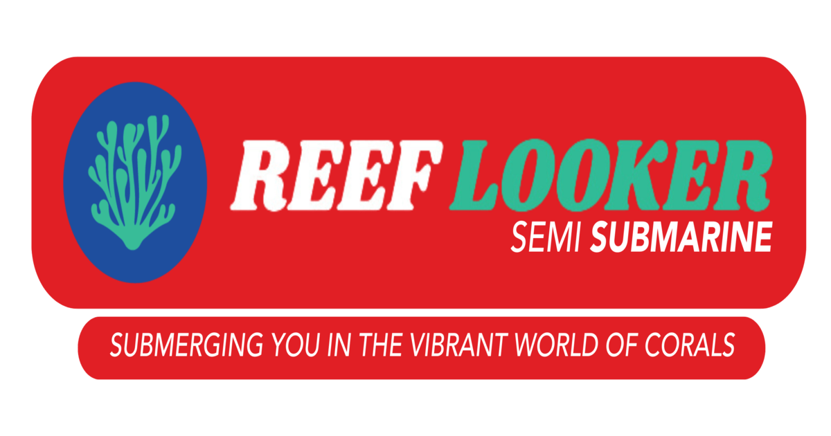 Reef Looker: Discover the Reef Looker Experience