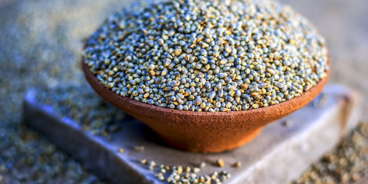 Unleash the Power of Pearl Millet Benefits: An Ancient Grain for Modern Wellness