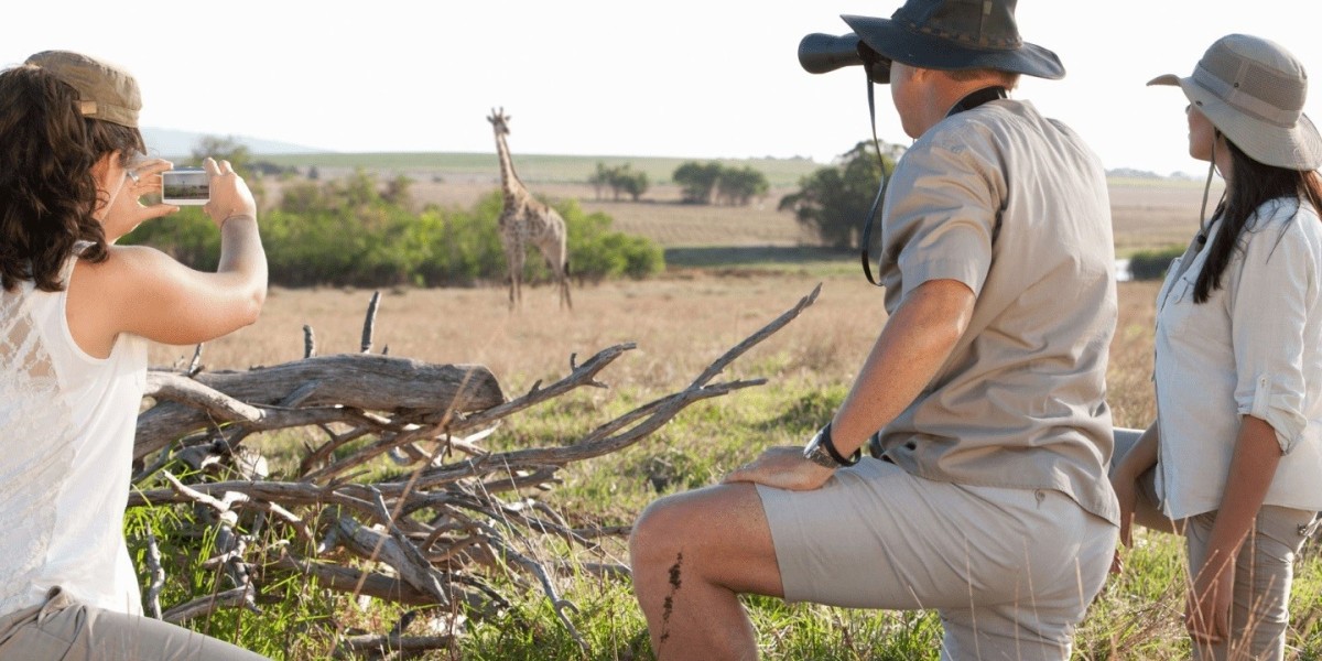 Embark on the Adventure of a Lifetime with Kalahari Safaris