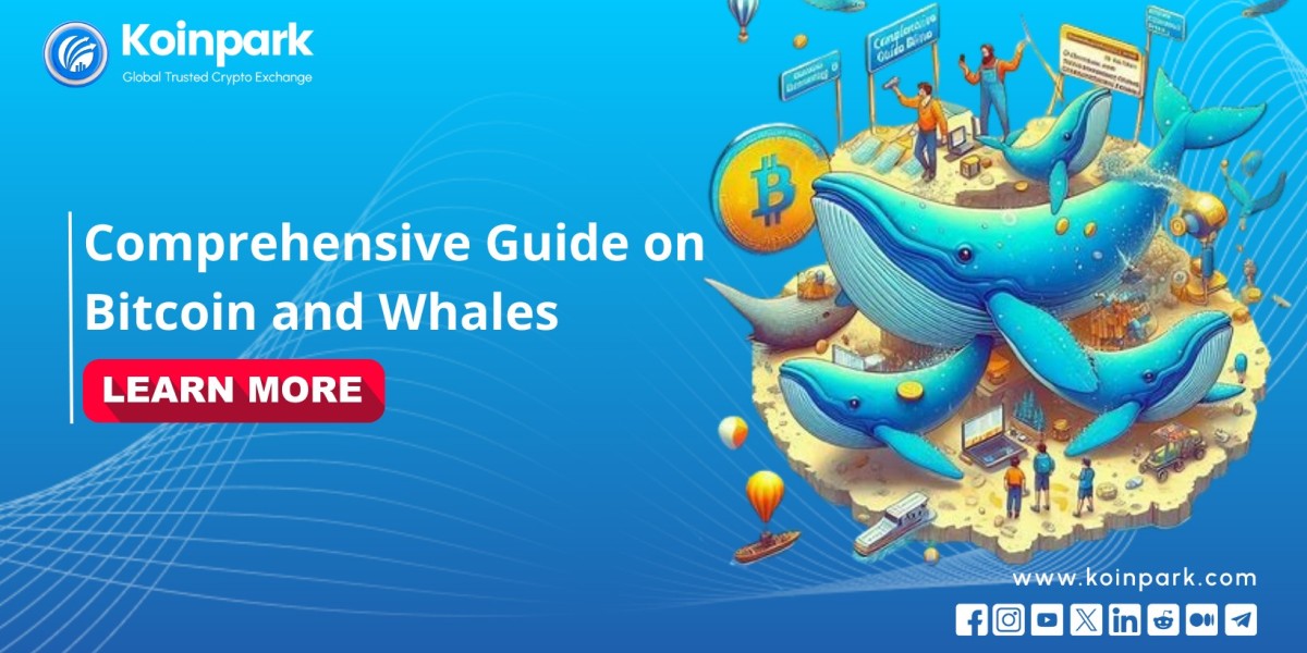 Comprehensive Guide on Bitcoin and Whales