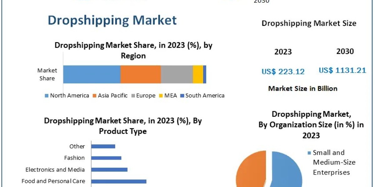 Dropshipping Market Overview 2023-2029: Strategic Insights and Predictions