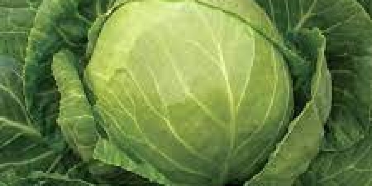 Revolutionize Your Meals: How Cabbage Can Transform Your Health and Well-Being!