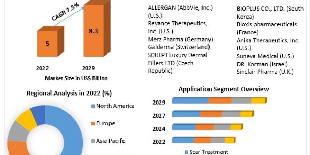 Dermal Fillers Market Analysis by Size, Growth, By Segmentation, By application forecast 2030