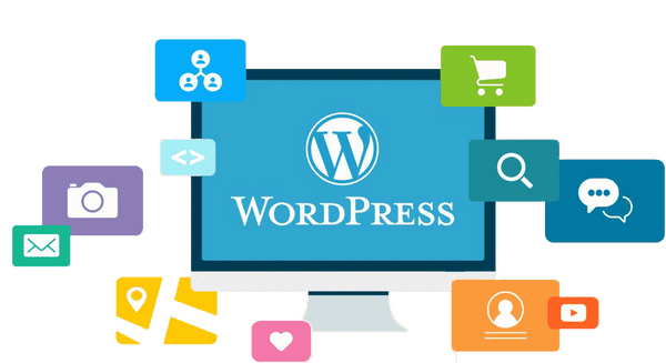 Exsy Design: Your Gateway to Exceptional WordPress Development Services - Article View - Latinos del Mundo