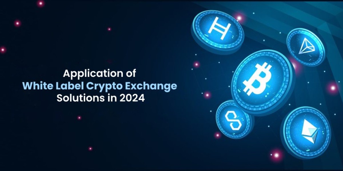 Application of White Label Crypto Exchange Solutions in 2024