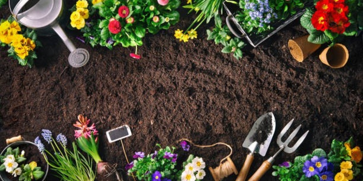 What's the Simplest Way to Get Started With Gardening?