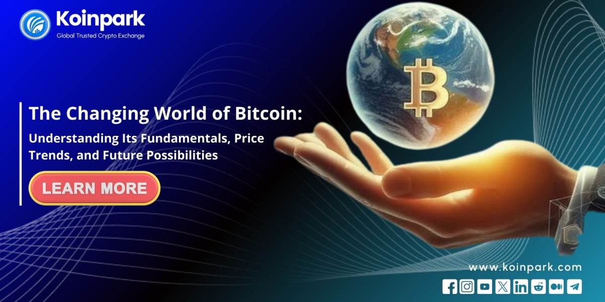 The Changing World of Bitcoin: Understanding Its Fundamentals, Price Trends, and Future Possibilities