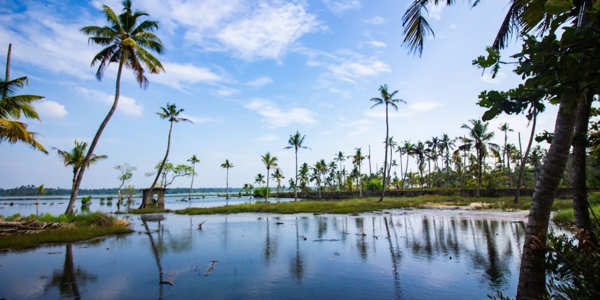 Exploring the backwaters of poovar with kerala tour packages from mumbai [2024]