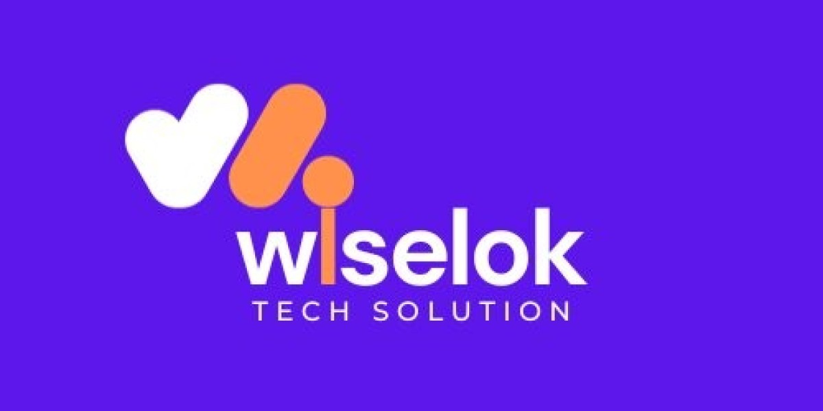 Best SEO Expert in Jaipur - Wiselok Tech Solution
