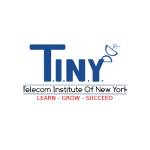 Telecom Ins****ute of New York Profile Picture