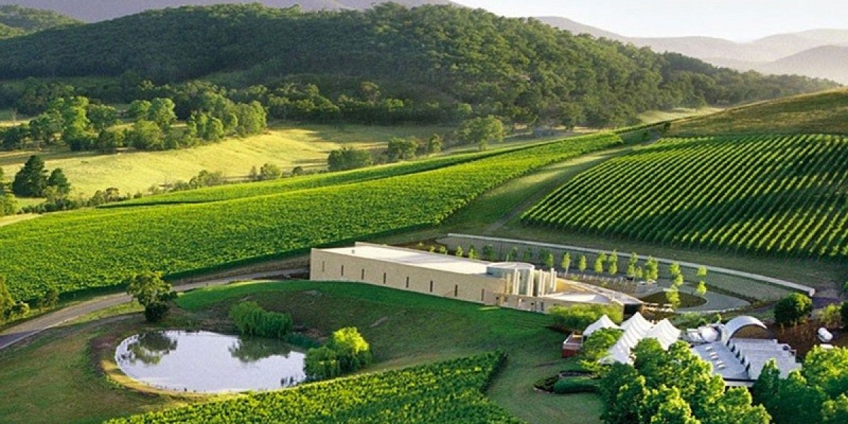 Best Victorian Winery and Melbourne City Sightseeing Trip