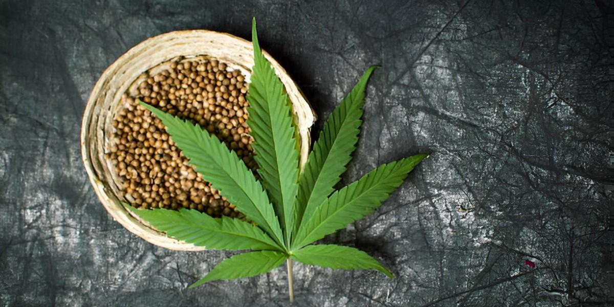 Buy Cannabis Seeds with Confidence: Discover Quality and Support at The Clone Conservatory