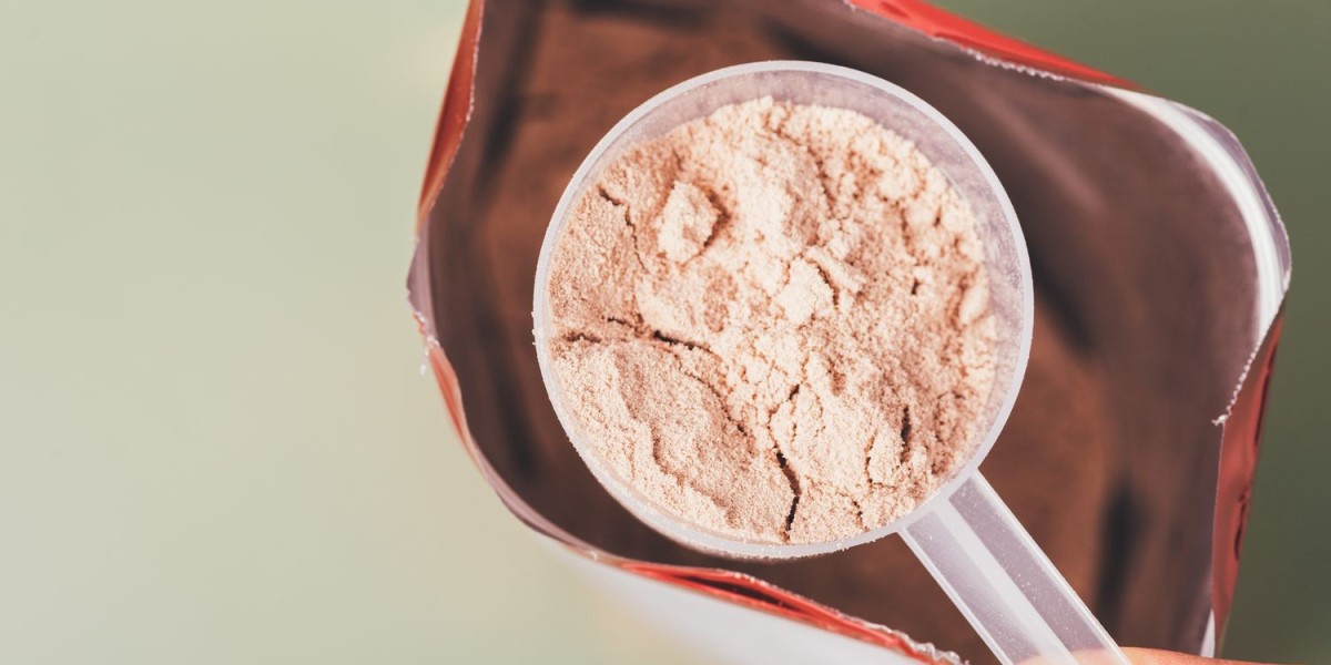Whey Protein Manufacturing Plant Report 2024: Business Plan, Requirements and Project Cost