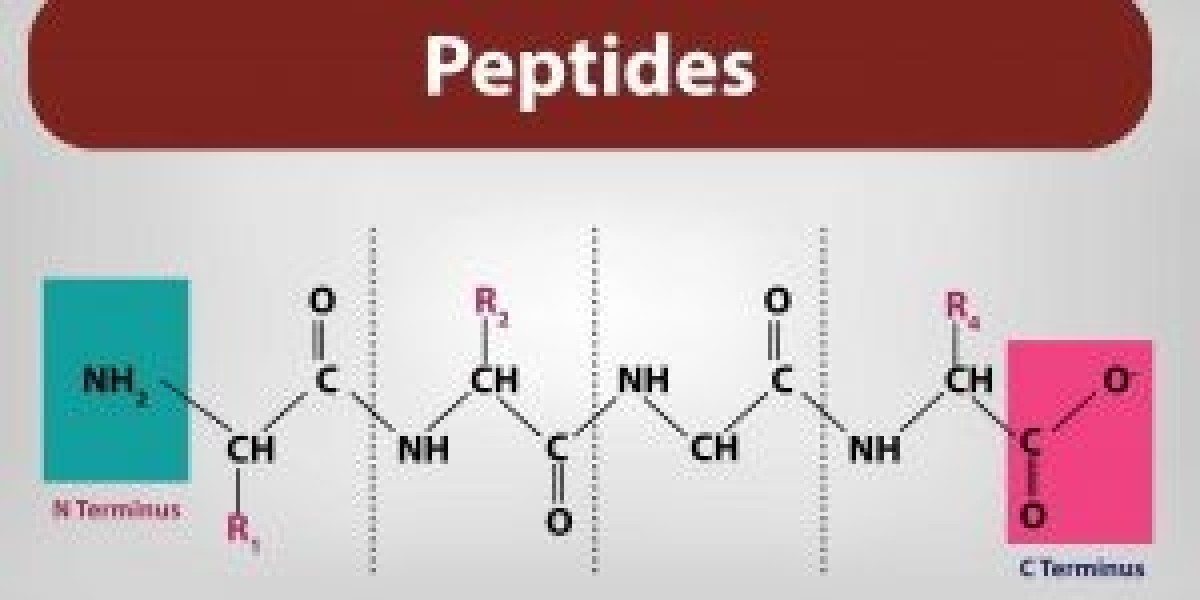 An Overview of Functional Peptides