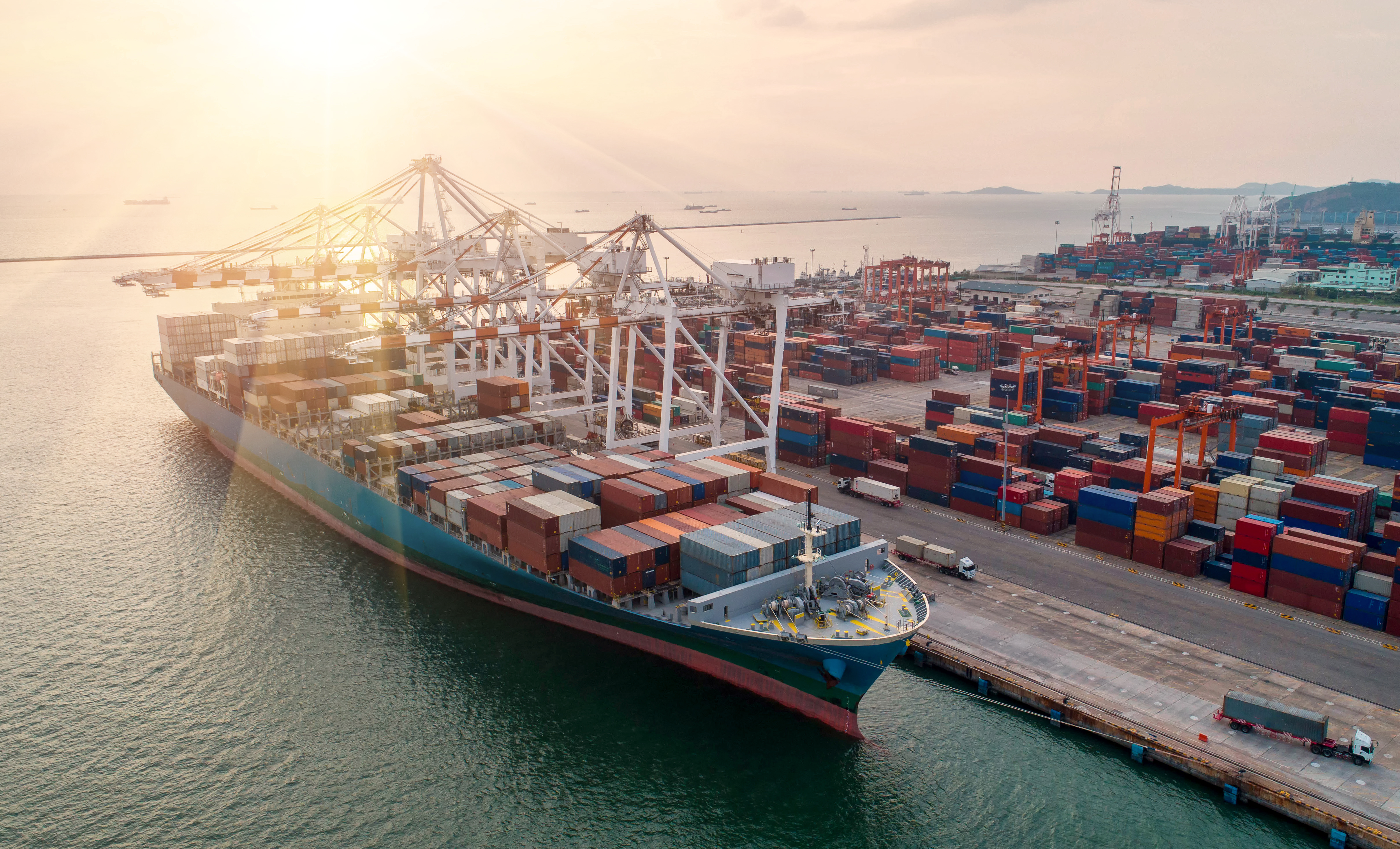 Navigating Efficiency- Ocean Logistics Solutions by Rhenus Logistics India