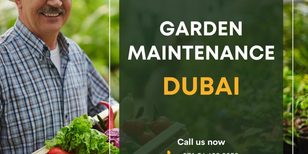 Garden Maintenance Dubai - Best Pools