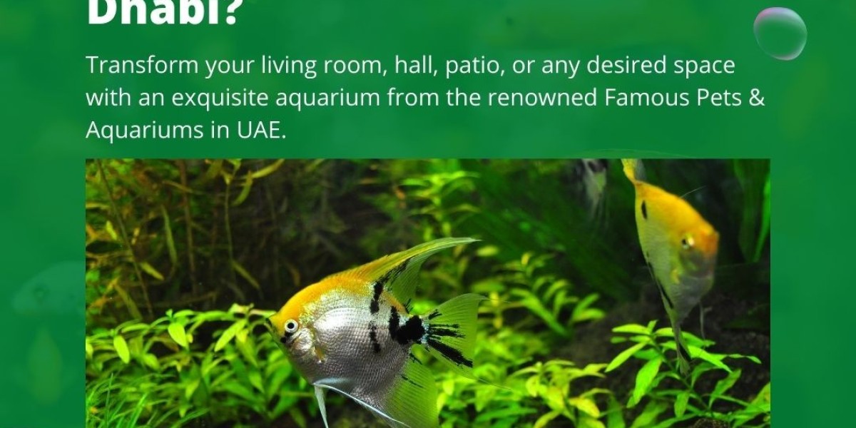 Why is an Aquarium Filter Pump Important?