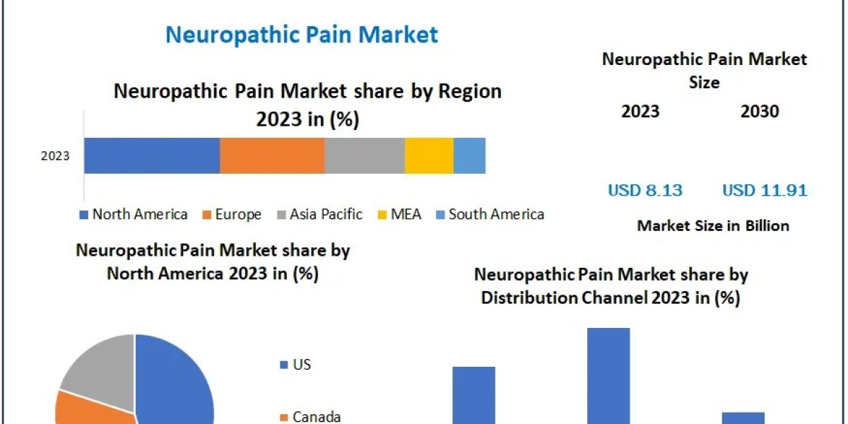 Global Neuropathic Pain Market Business Strategies, Revenue and Growth Rate Upto 2030