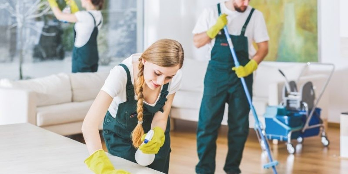 Reasons to Hire the House Cleaning Services Albuquerque