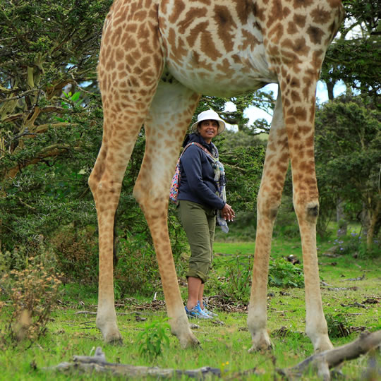 Best Deals on Kenya Tour Packages and Safaris