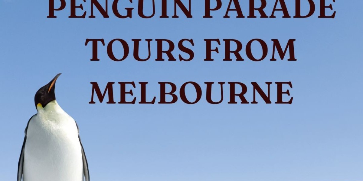 Philip Island Penguin Parade Tours from Melbourne