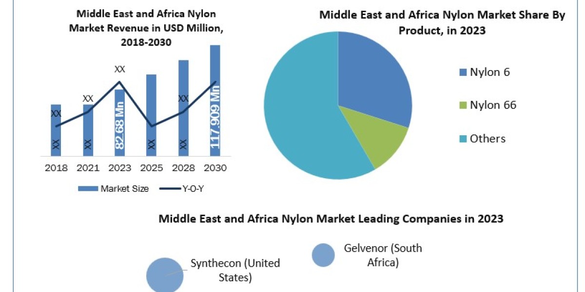 Challenges and Opportunities in the Middle East and Africa Nylon Sector