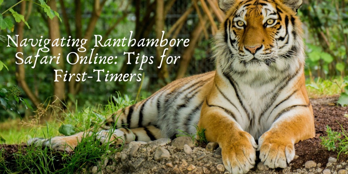 Navigating Ranthambore Safari Online: Tips for First-Timers