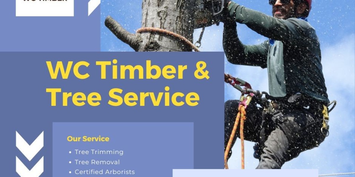 Get the affordable service Forestry Mulching by Timber Consultant in Rome GA