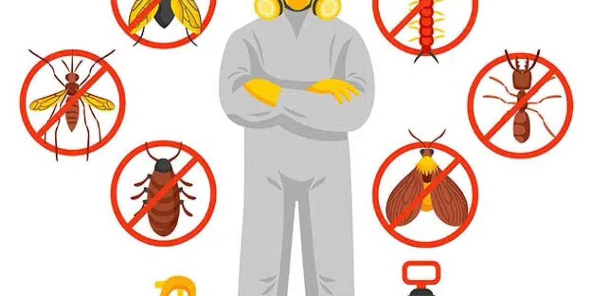 Maintaining Pest-Free Environments: The Role of Pest Control in Geelong